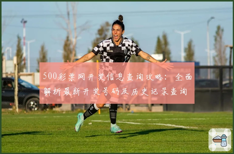 500彩票网开奖信息查询攻略：全面解析最新开奖号码及历史记录查询技巧